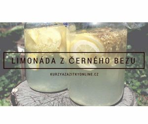 Fotografie limonády z černého bezu