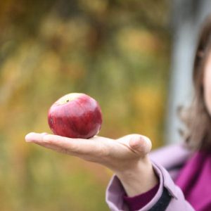Ulcerózní kolitida a Crohnova choroba - jak žít a jíst kvalitně