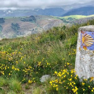 Svatojakubská pouť do Santiago de Compostela od A do Z
