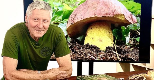 Velký kurz houbaření