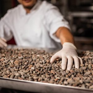Domácí degustace čokolády + Čokoládový balíček pro všechny čokoholiky