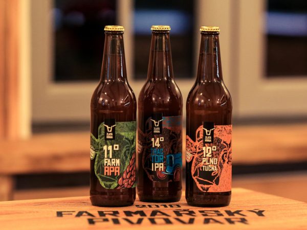 Domácí degustace piva s pivovarem Zlatá Kráva - balíček "Pivní speciály " + bedna 6 druhů piva - Obrázek 4