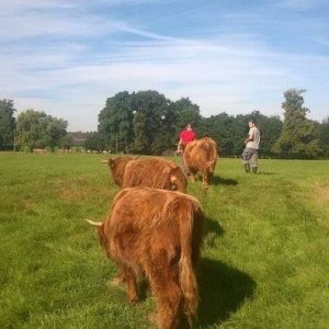 Farmářem na zkoušku - dvoudenní pobyt na statku + péče o zvířata