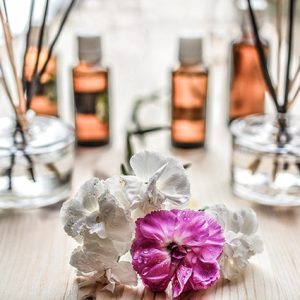 Domácí homeopatie + e-book "Jak porozumět nemocem" ZDARMA