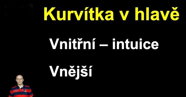 Kurvítka v hlavě aneb Proč i chytří lidé jednají hloupě - Obrázek 2