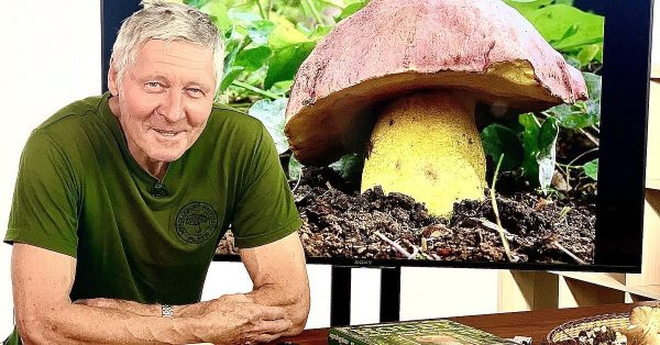 Velký kurz houbaření - Obrázek 2