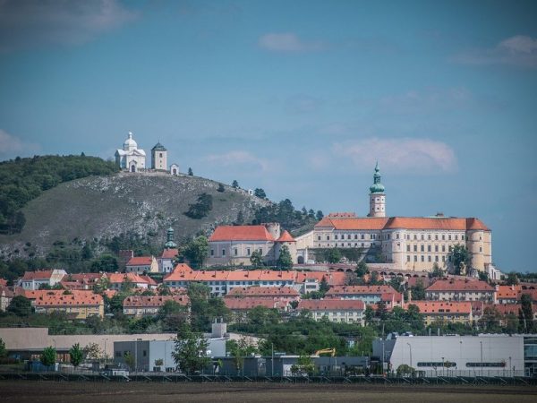 Dárkový balíček šesti druhů moravských zemských vín + videodegustace se someliérem - Obrázek 2
